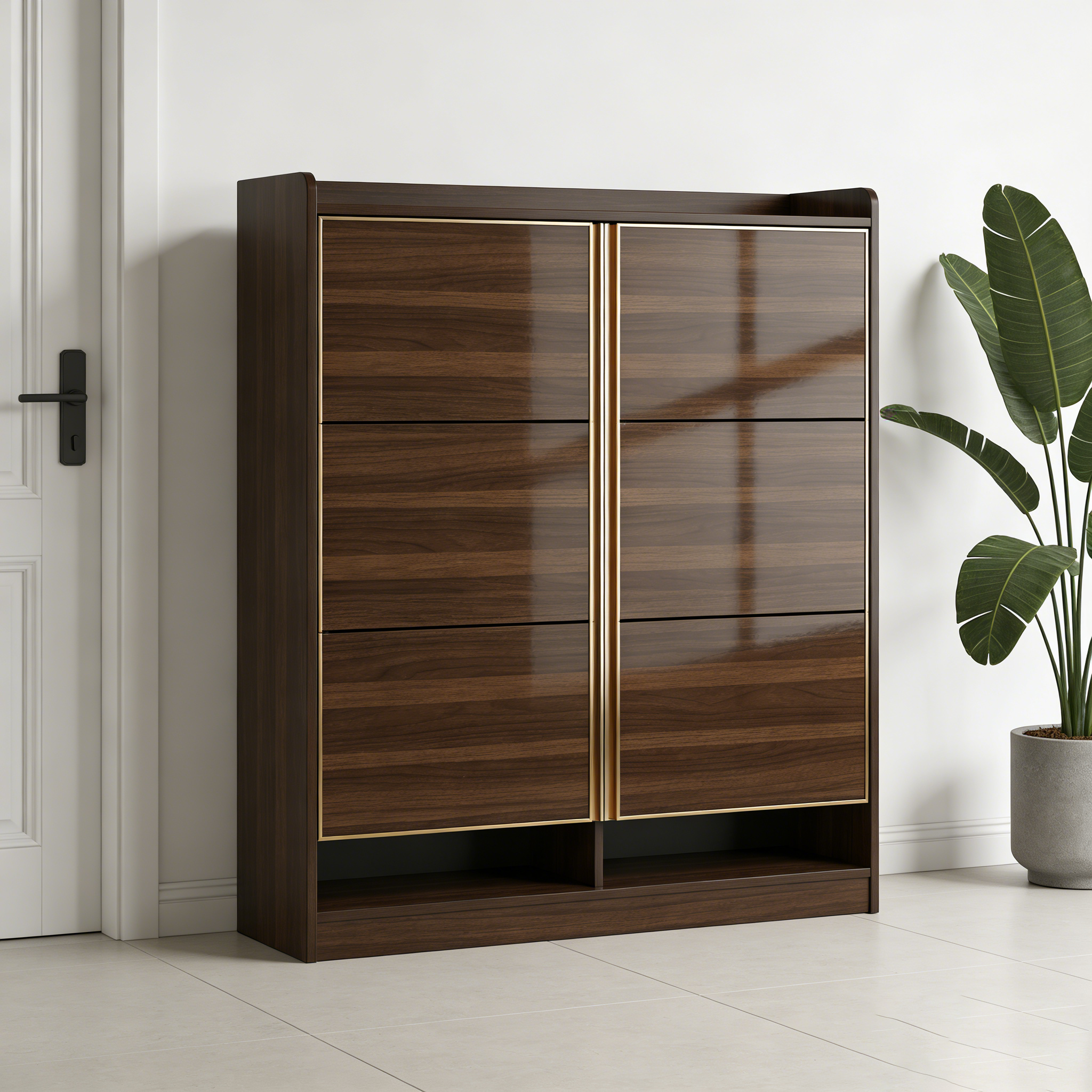 Modern Wooden Shoe Cabinet